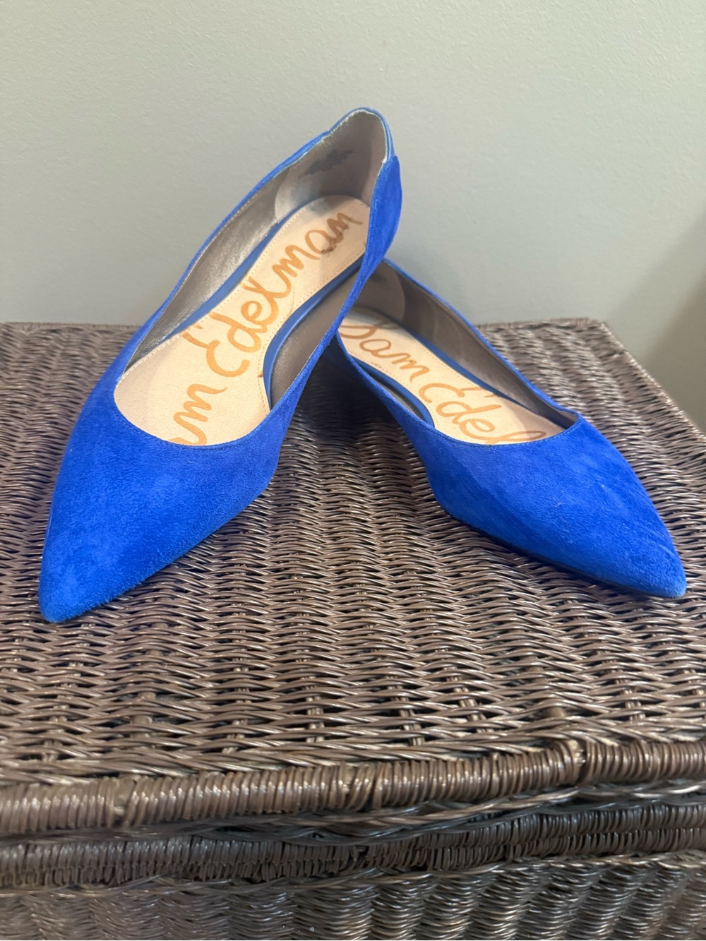 Sam Edelman Electric Blue Suede Pointed Flats